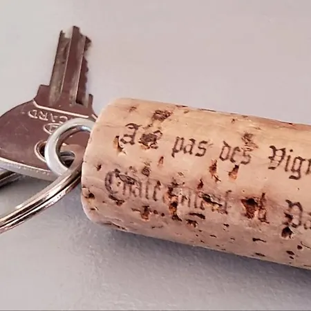 A 2 Pas Des Vignes, Hebergements Et Spa, à Du Pape, Maison Numéro 12 Châteauneuf-du-Pape