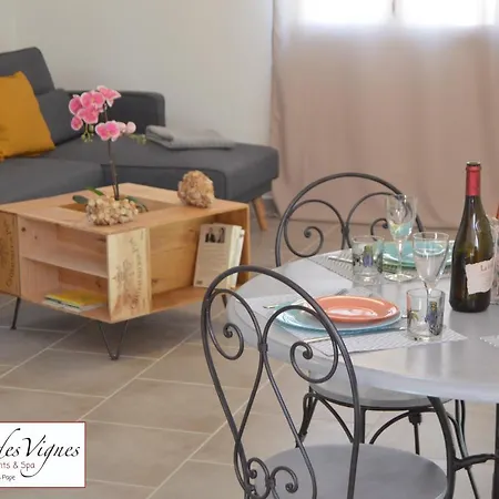 A 2 Pas Des Vignes, Hebergements Et Spa, à Du Pape, Maison Numéro 12 Hébergement de vacances