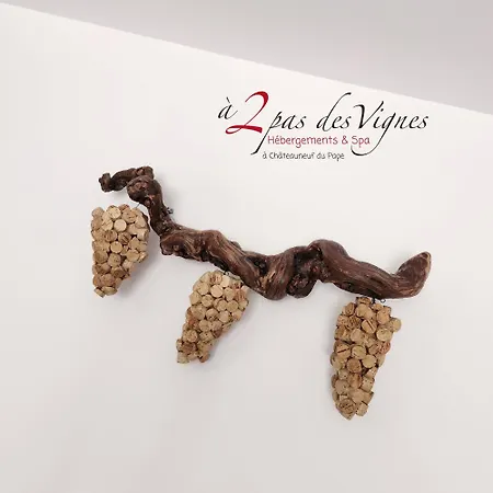 Hébergement de vacances A 2 Pas Des Vignes, Hebergements Et Spa, à Du Pape, Maison Numéro 12 *